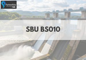SBU BS010